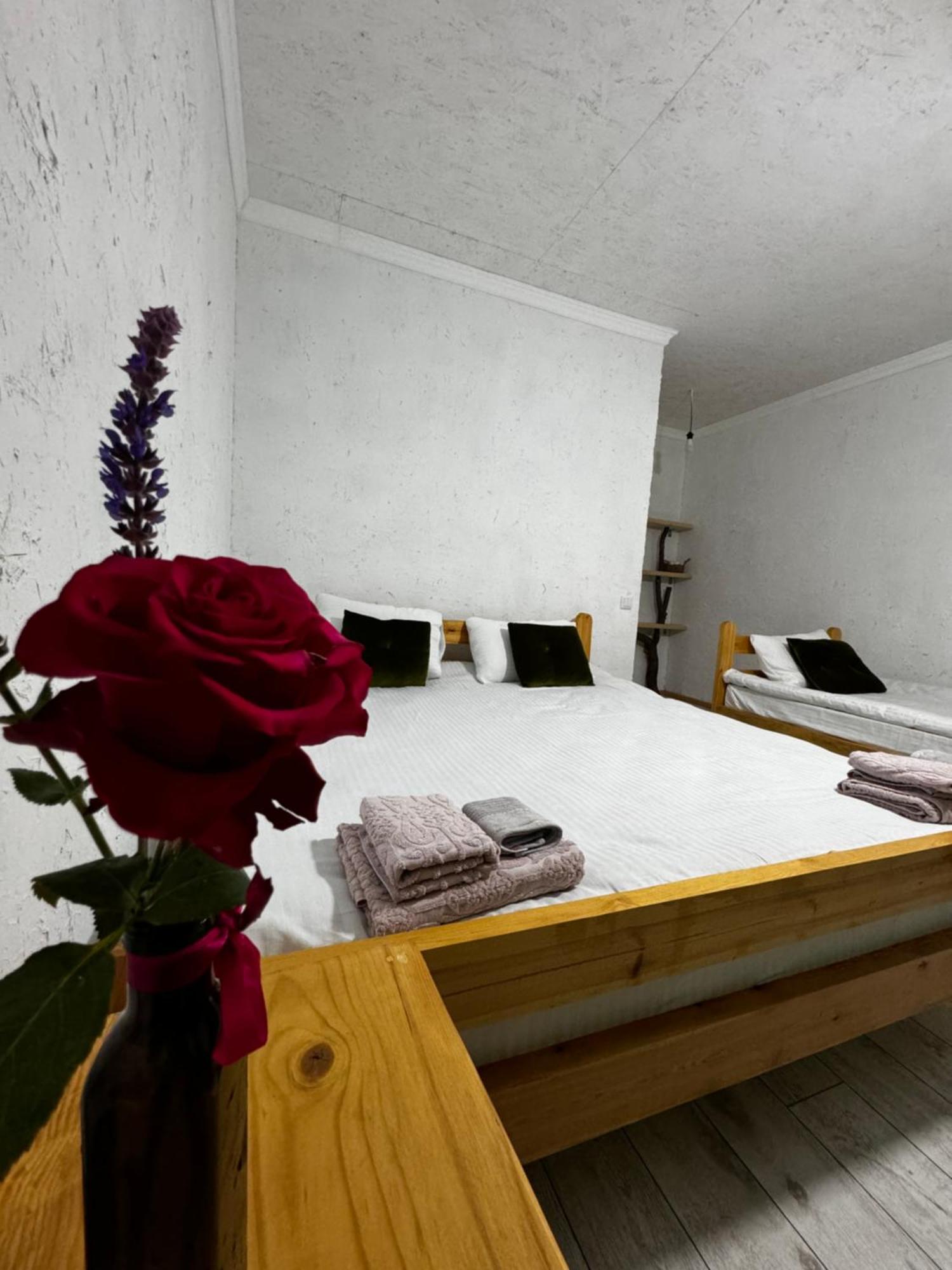 Eco Village Lodge Dzhetyoguz Extérieur photo